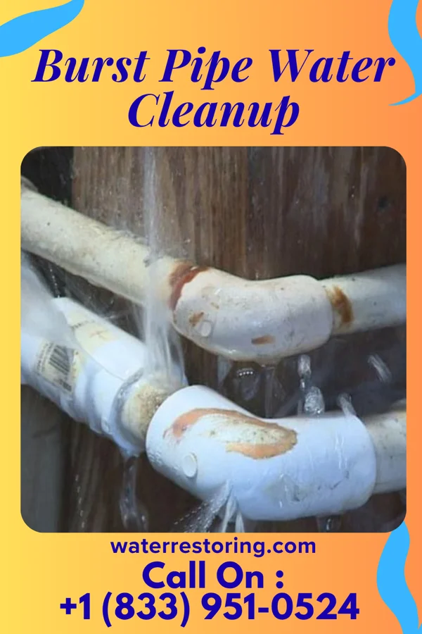 Burst Pipe Water Cleanup in Minong, WI