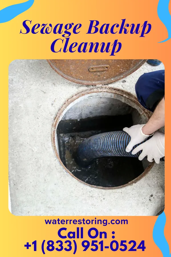 Sewage Backup Cleanup in Minong, WI